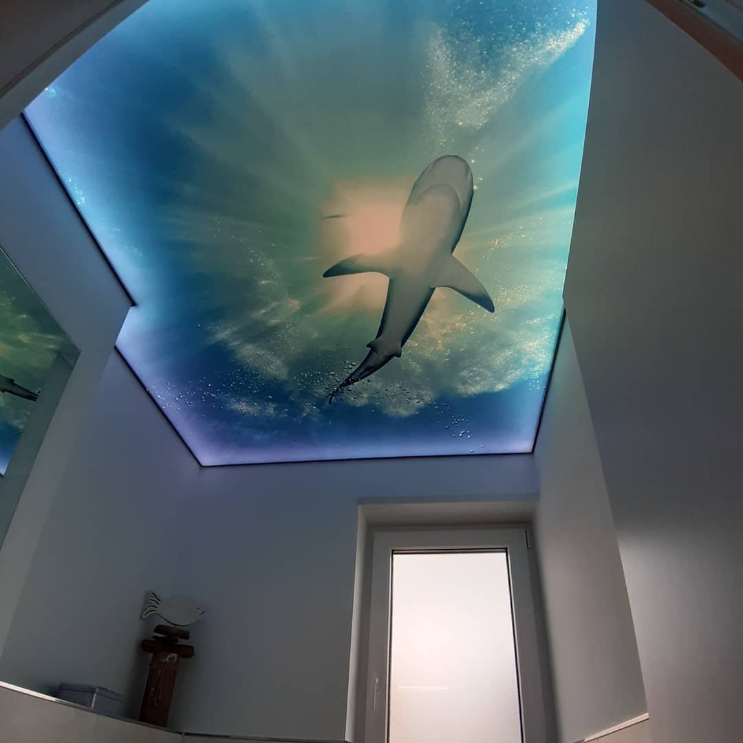 Fotodecke mit Haimotiv im Badezimmer